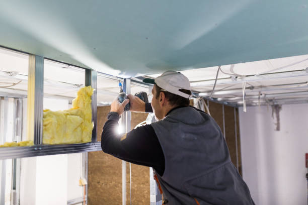 Types of Insulation We Offer in Bostonia, CA