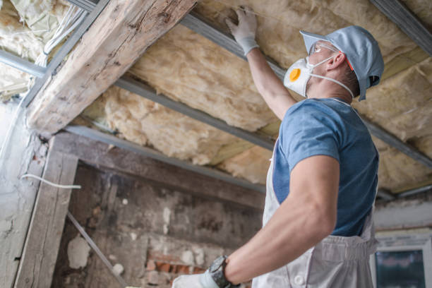 Best Specialized Insulation Services in Bostonia, CA