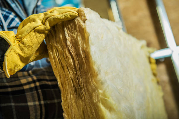 Best Cellulose Insulation in Bostonia, CA